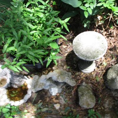 Cement Statues & Plant
