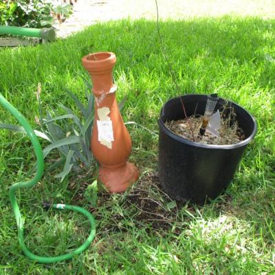 Clay Flower Pot & Hose