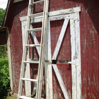 Adjustable Aluminum Ladder