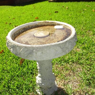 Bird Bath