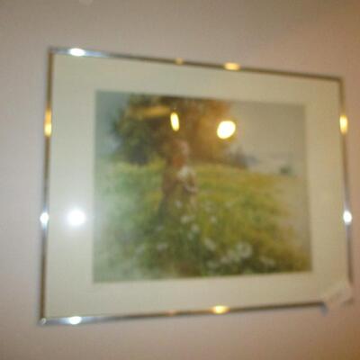 Framed Art