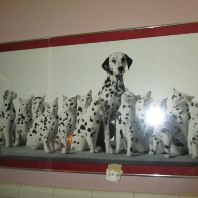 Dalmation & Cats Picture