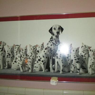 Dalmation & Cats Picture