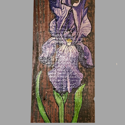 Purple Iris on Wood