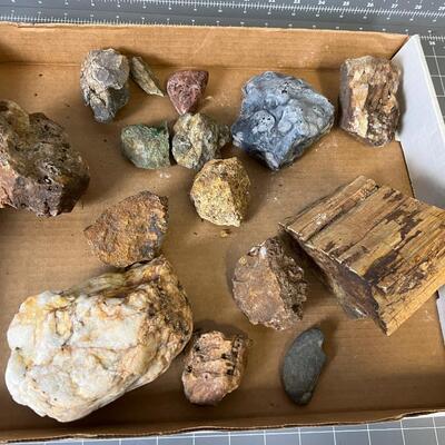 Tray of Rocks: Obsidian, Petrified Wood, Orr