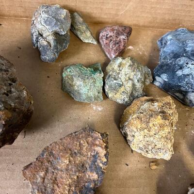 Tray of Rocks: Obsidian, Petrified Wood, Orr