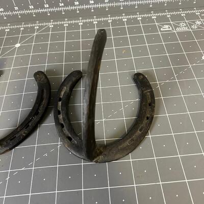 Horse Shoe Coat Hooks 