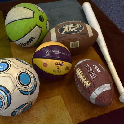 Rolling Wire Basket with Sports Items