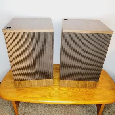 AMAZING BOSE 501 SERIES III FLOOR SPEAKERS