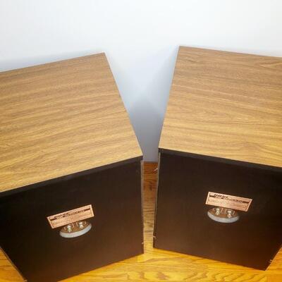 AMAZING BOSE 501 SERIES III FLOOR SPEAKERS