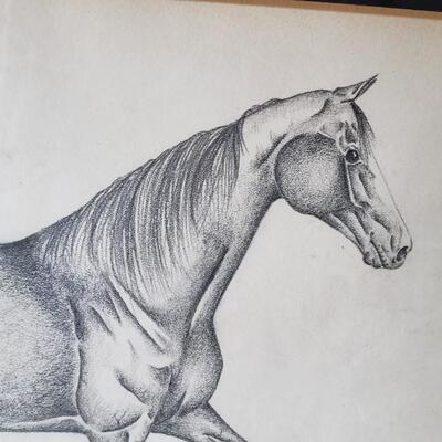 Original framed drawing of horse