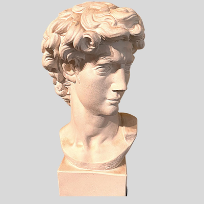 David Head Bust Sculpture