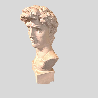 David Head Bust Sculpture