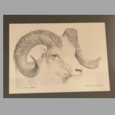 Four Framed Original Sketches - "Bighorn Collection" by Artist Charles Beckendorf