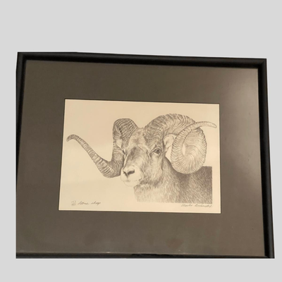 Four Framed Original Sketches - "Bighorn Collection" by Artist Charles Beckendorf