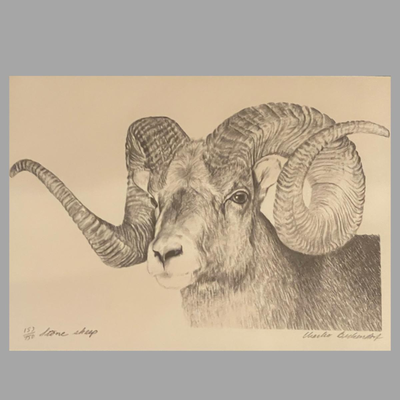Four Framed Original Sketches - "Bighorn Collection" by Artist Charles Beckendorf