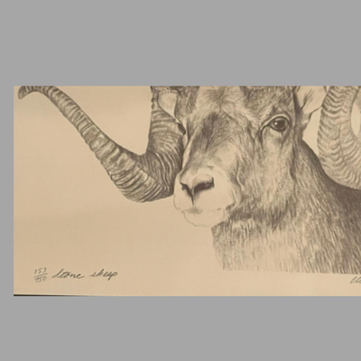 Four Framed Original Sketches - "Bighorn Collection" by Artist Charles Beckendorf