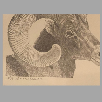Four Framed Original Sketches - "Bighorn Collection" by Artist Charles Beckendorf