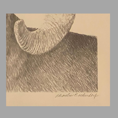 Four Framed Original Sketches - "Bighorn Collection" by Artist Charles Beckendorf