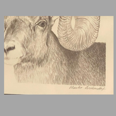 Four Framed Original Sketches - "Bighorn Collection" by Artist Charles Beckendorf