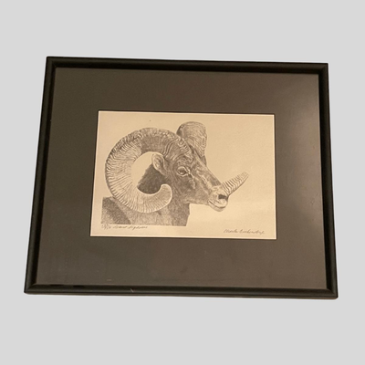 Four Framed Original Sketches - "Bighorn Collection" by Artist Charles Beckendorf