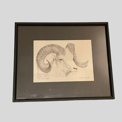 Four Framed Original Sketches - "Bighorn Collection" by Artist Charles Beckendorf