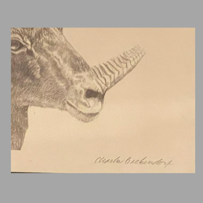 Four Framed Original Sketches - "Bighorn Collection" by Artist Charles Beckendorf