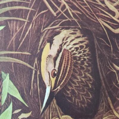 4 Audubon bird  prints