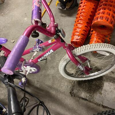 FS48 Adult Schwinn bike and Magna childâ€™s bike