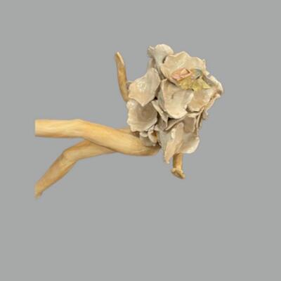Susan Bergman Sitting Oyster Mushroom  Sculpture - 3"