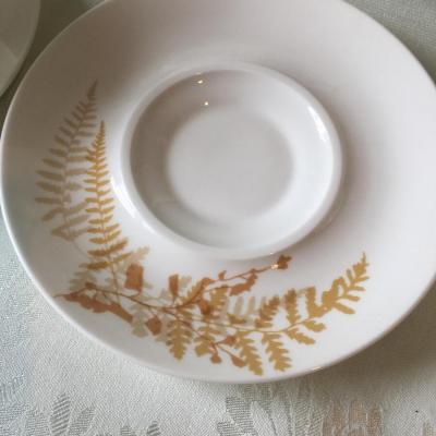 Vera for Mikasa cups  and saucers
