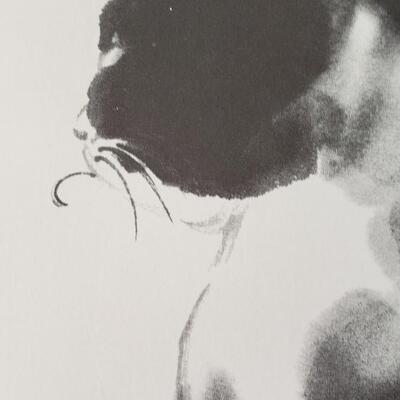 Two Cat Posters 21"x 15" Dr. David Kwo Da-Wei Lithographs signed!