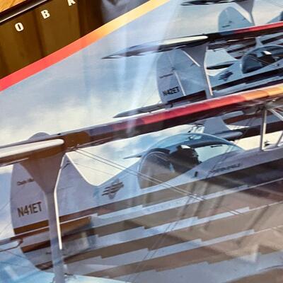 Famed Eagles Aerobatic Flight Team Print
