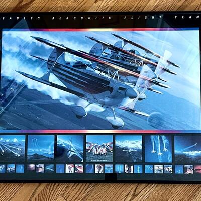 Famed Eagles Aerobatic Flight Team Print