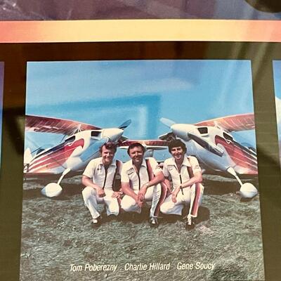 Famed Eagles Aerobatic Flight Team Print