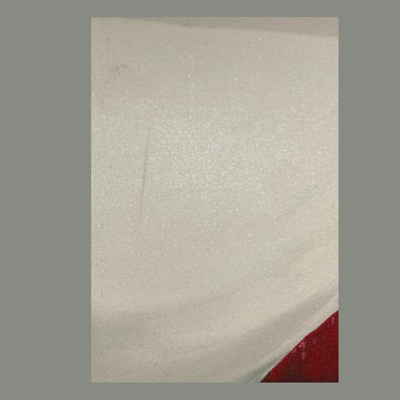 Canvas Wrapped David Bromstad "Pucker Up"