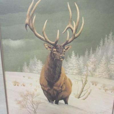 Signed Guy Coheleach Wapiti Stag Lithograph