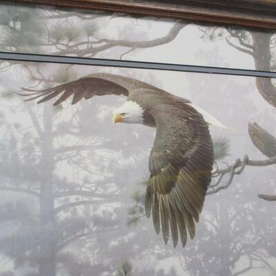 Framed Eagle Flying In Forest Art By Smith