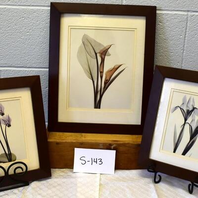 Framed Art