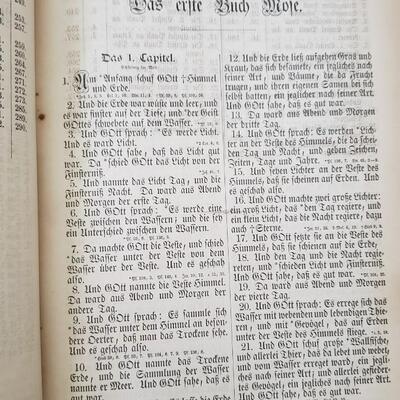 Large Lutheran Bible 1866 in German