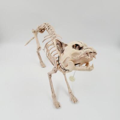 COOL DECORATIVE SKELTON CAT