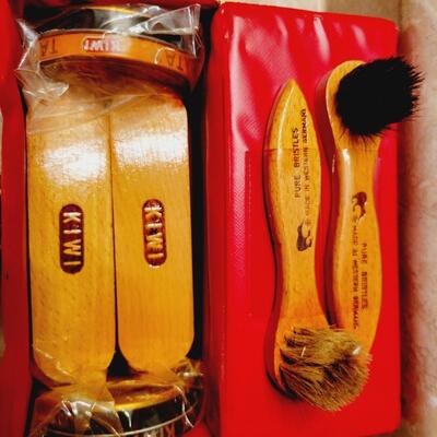 SHINY SHOES & BRUDHES BUNDLE
