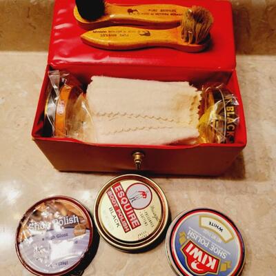 SHINY SHOES & BRUDHES BUNDLE