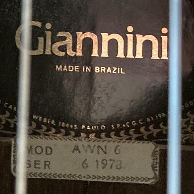 Giannini Classical AWN-6 Guitar 1973 BRAZIL Brazilian Rosewood with Case