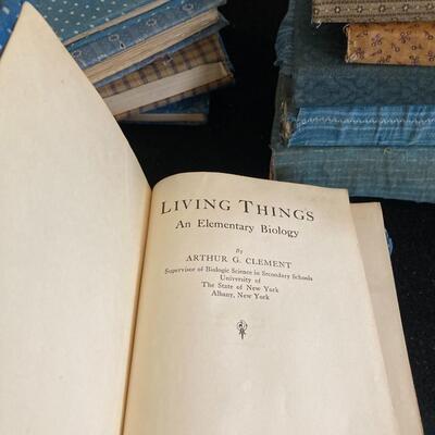 Large Lot of 13 Vintage Books with Cloth Book Covers
