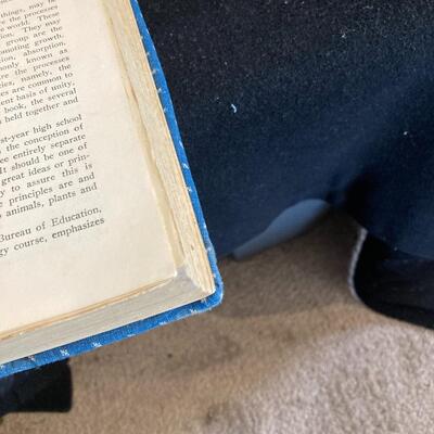 Large Lot of 13 Vintage Books with Cloth Book Covers