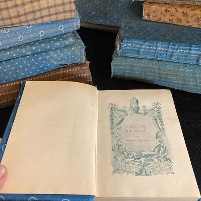 Large Lot of 13 Vintage Books with Cloth Book Covers