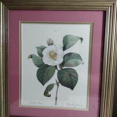 Flower Prints