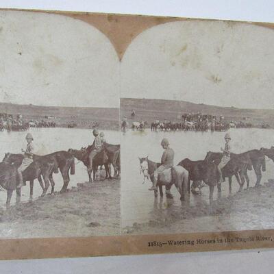 5 Antique Thick Stereoscope Cards