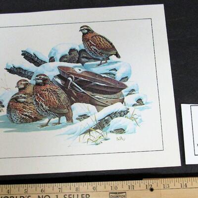 Vintage 1970s Quail Litho, USA 11"x14"`
